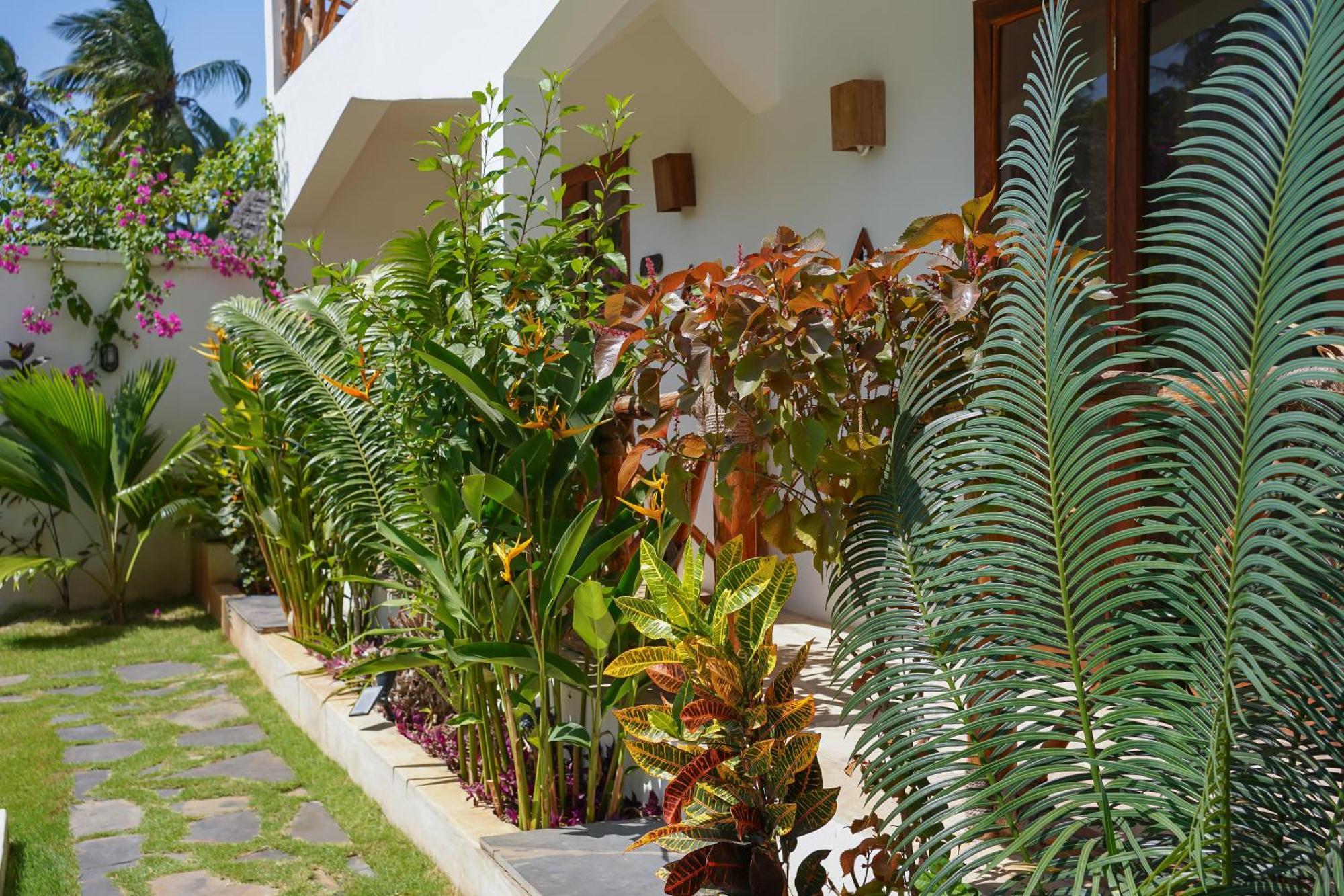 Mambo Cabana Pwani Mchangani Exterior foto